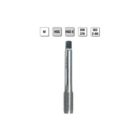 MASCHI F 7855X20