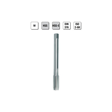 MASCHI F 7855/2X20
