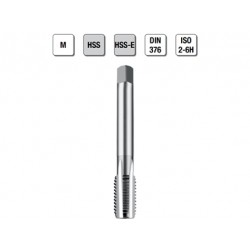 MASCHI F 7861X24 M