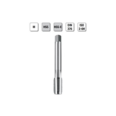 MASCHI F 7861X24 M