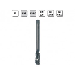 MASCHI F 7862/5X20