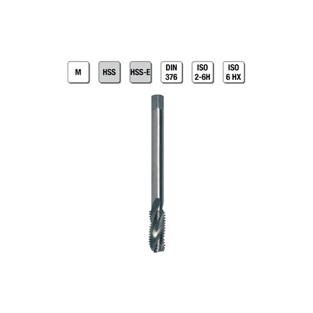 MASCHI F 7862/5X20