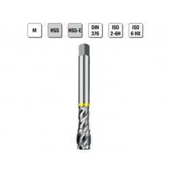 MASCHI F 7863/1X10 M