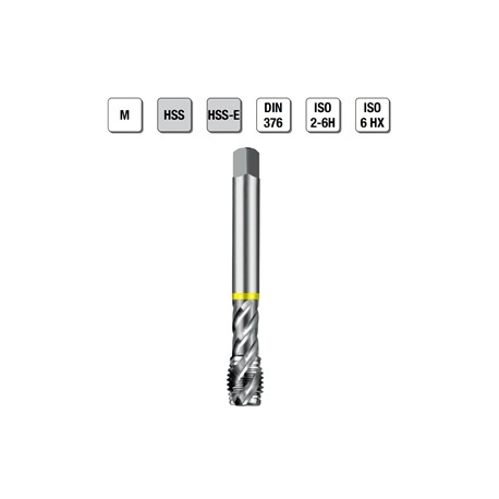 MASCHI F 7863/1X10 M