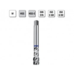MASCHI F 7863/2X10 M