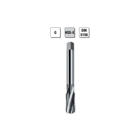 MASCHI F 7919X1 G
