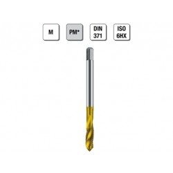 MASCHI F 7945X3 M