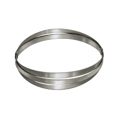ANELLO SV.5800X41 Z 4/6