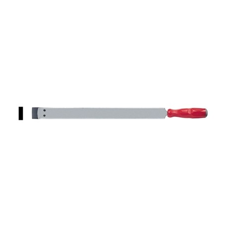 RASCHIETTI F 8444/3 MM 20