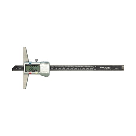 GAUGES H 4238X200