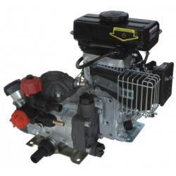 Motopompa da irrorazione Mod. 4T-DP20