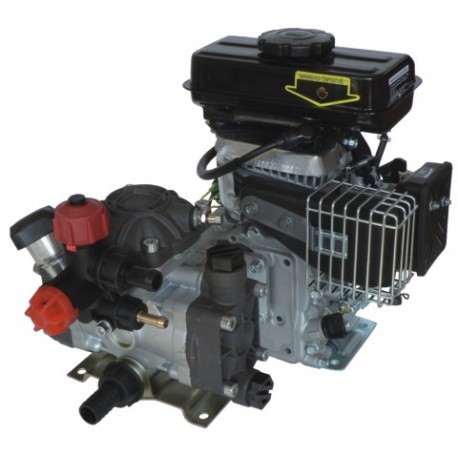 Motor-pump for spraying Mod. 4T-DP20
