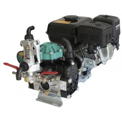 Motopompa da irrorazione Mod. 4T-DP30