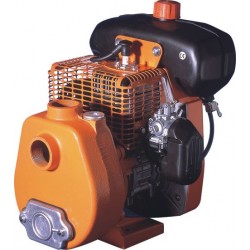 Motor-pump for irrigation Mod. ER-AUT