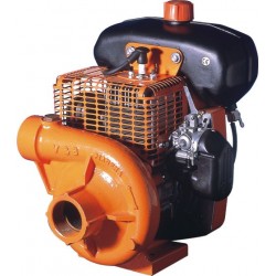 Motor-pump for irrigation Mod. ER-GEMINI